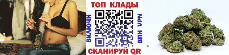 Виды наркотиков купить Инсар Каннабис  Alpha-PVP  mega зеркало  Амфетамин  МЕФ  Гашиш  COCAIN 