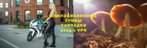 2c-b Алексин