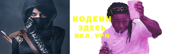 шишки Алзамай