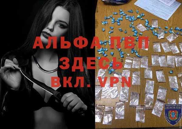 шишки Алзамай