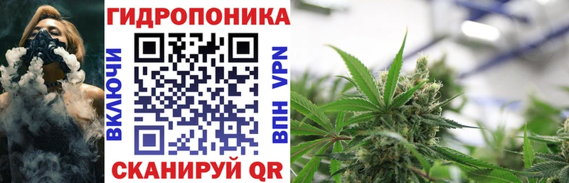 сайты даркнета клад  Инсар  Бошки марихуана OG Kush 